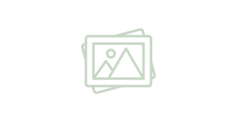 All about Milestone Credit Card